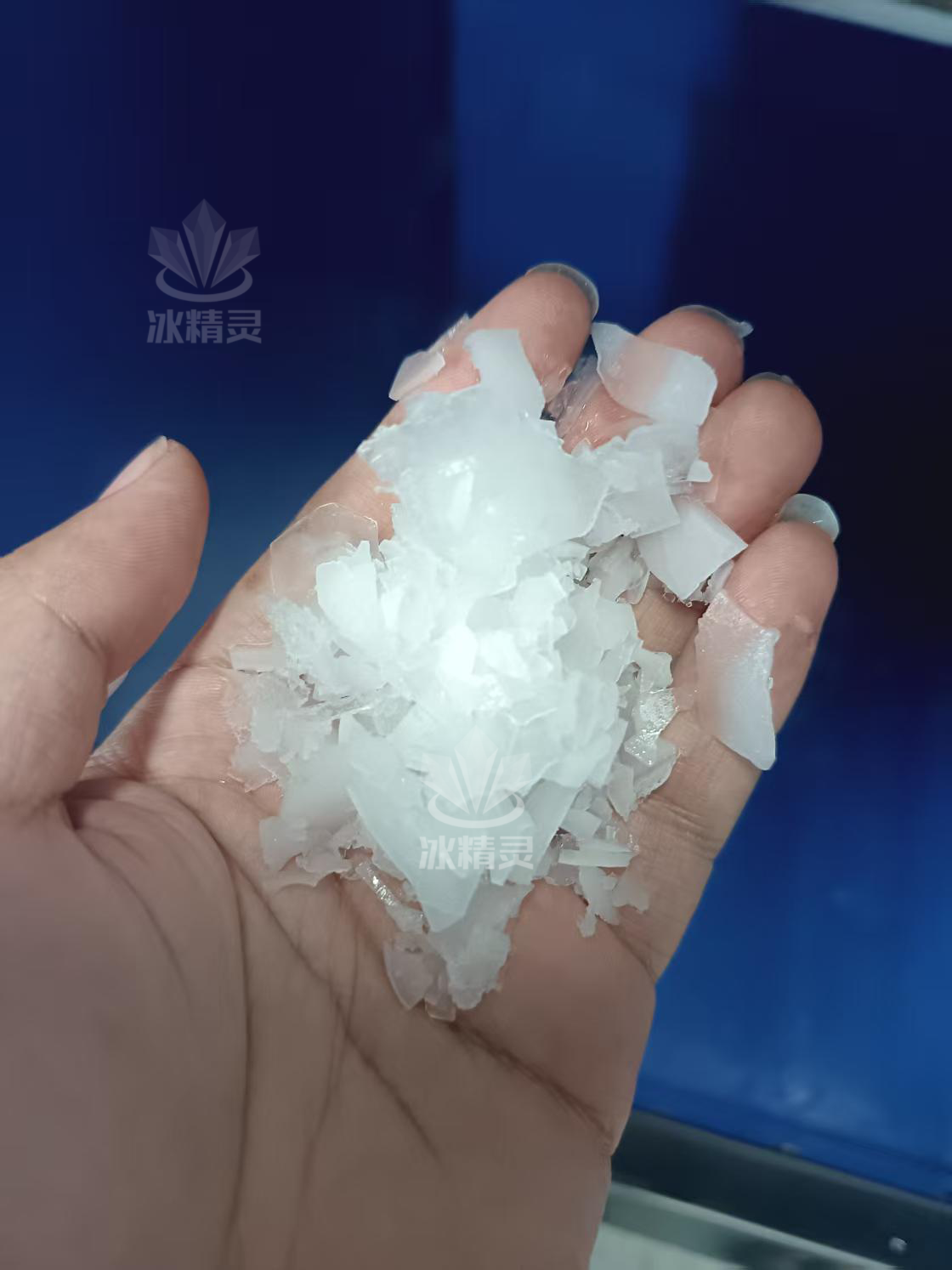 鳞片冰