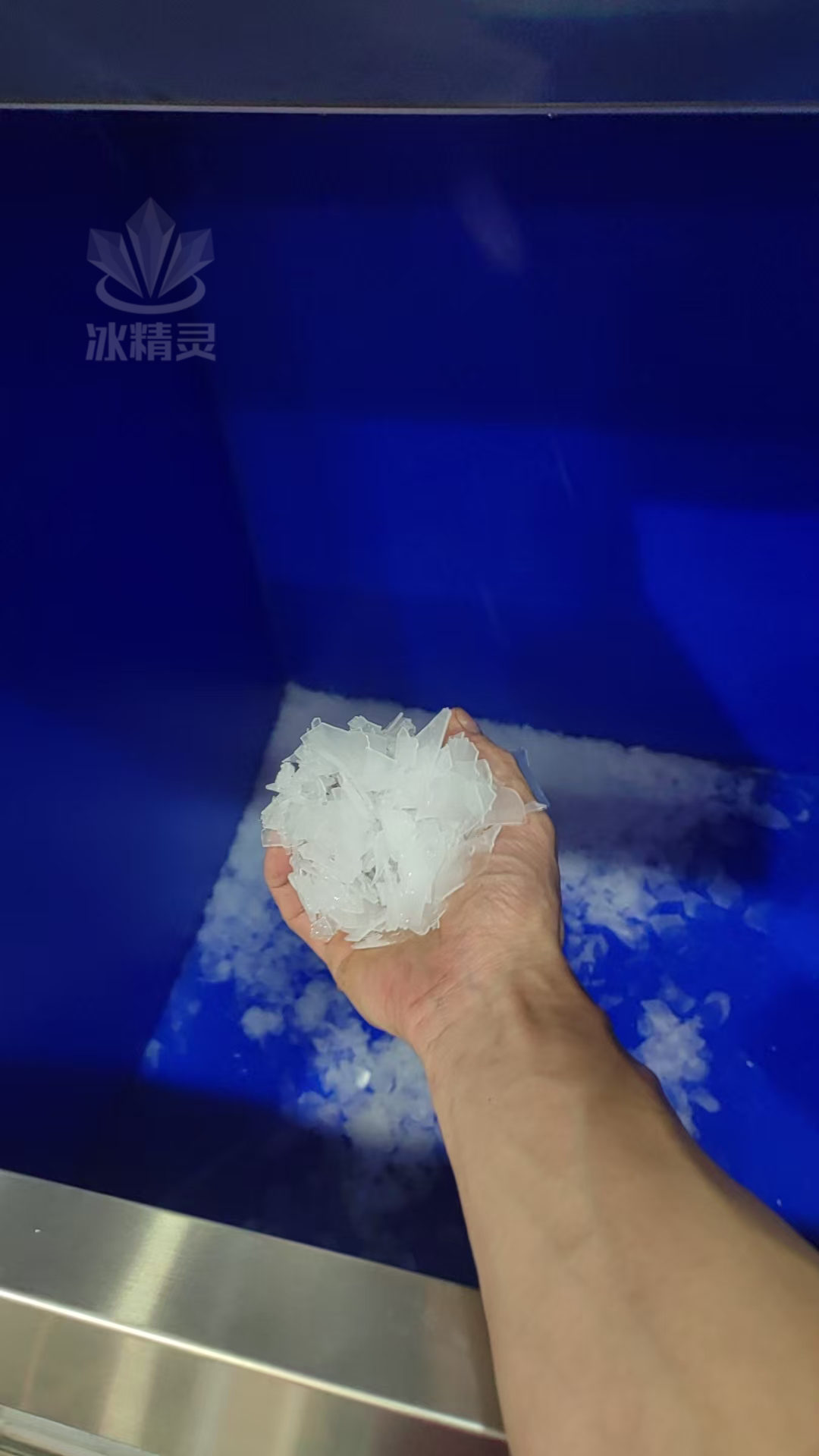 鳞片冰