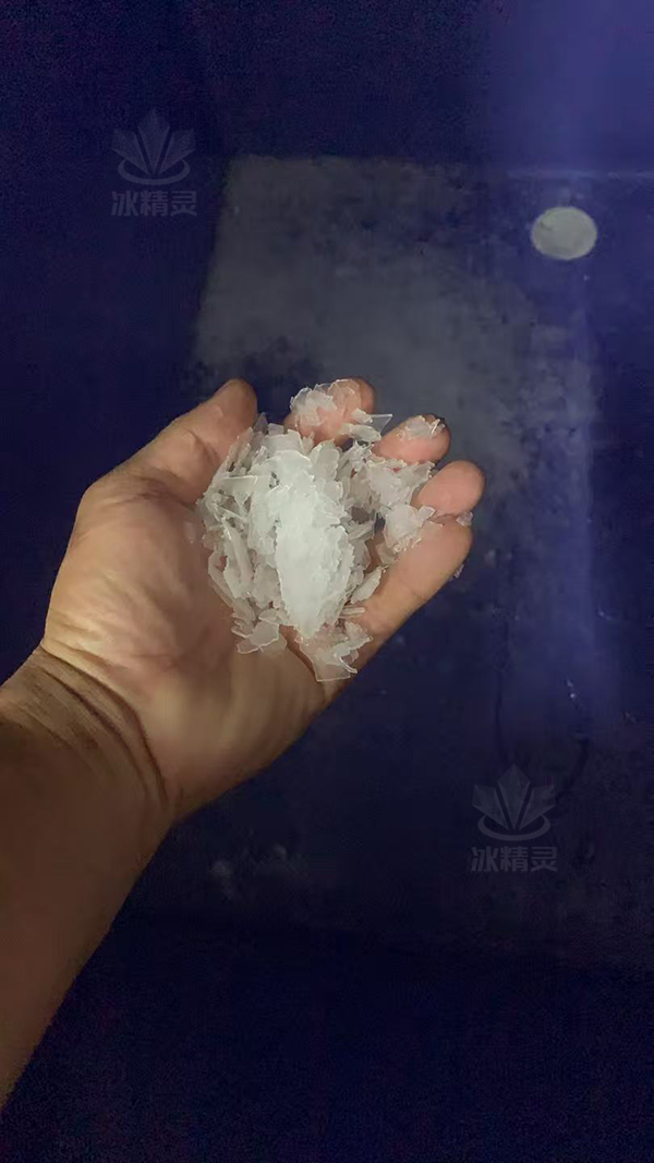鳞片冰