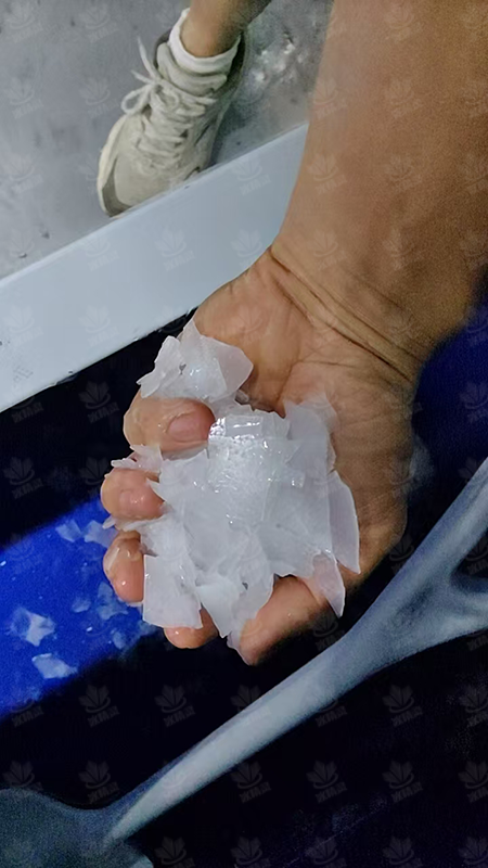 鳞片冰