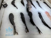 超市保鲜片冰机(图5)