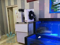 超市保鲜片冰机(图8)