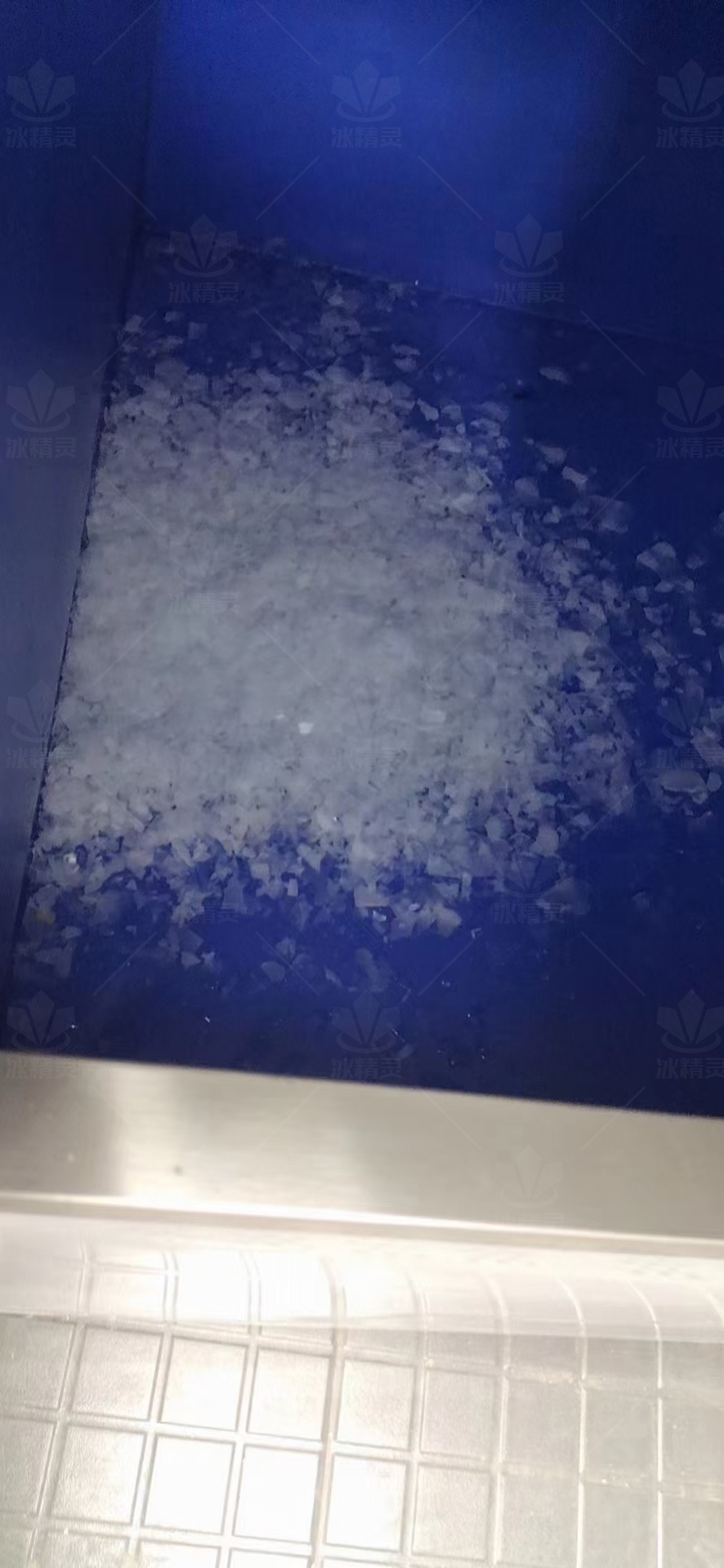 鳞片冰